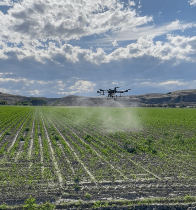 DroneCropSpraying_Drought-696x744.png