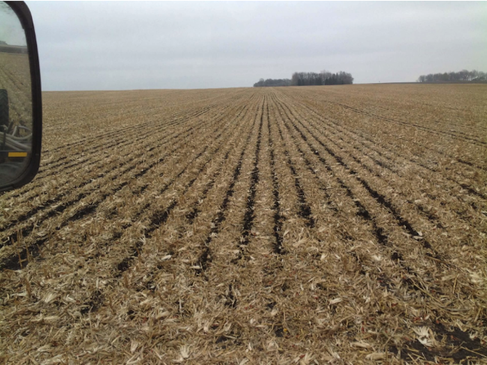 Iowa-Strip-Till