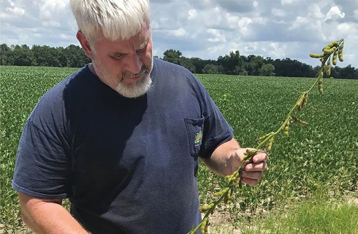 6 Record-Breaking Tips for Growing High-Yielding Crops