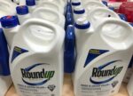 Roundup