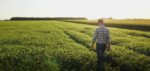 NCAT synthetic fertilizer reduction toolkit farmer in field.jpeg