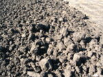 Chunky-Soil_11-Frenchie.jpg