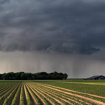 Andy Jobman Nebraska Strip-Till.jpeg