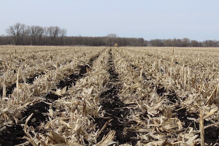 REASON 5_Top 10 Reasons To Consider Strip-Till .JPG