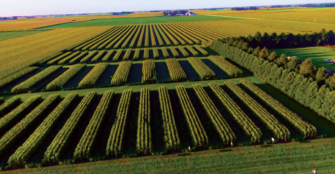 strip-cropping-and-interseeding-cover-crops-with-marty-weiss-youtube